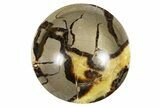Eye-Eatching, Polished Septarian Bowl - Madagascar #342687-1